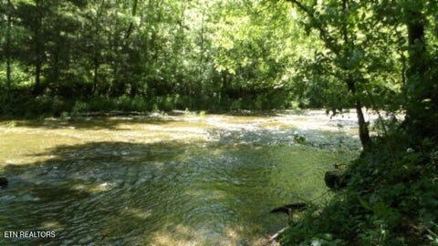 Tiny photo for 5155 Brimstone Creek Rd RD, Moss, TN 38575 (MLS # 1358395)