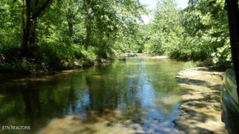 Tiny photo for 5155 Brimstone Creek Rd RD, Moss, TN 38575 (MLS # 1358395)