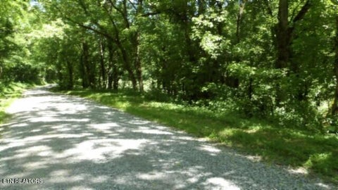 Tiny photo for 5155 Brimstone Creek Rd RD, Moss, TN 38575 (MLS # 1358395)