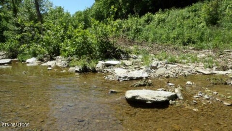 Tiny photo for 5155 Brimstone Creek Rd RD, Moss, TN 38575 (MLS # 1358395)
