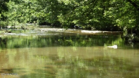 Tiny photo for 5155 Brimstone Creek Rd RD, Moss, TN 38575 (MLS # 1358395)