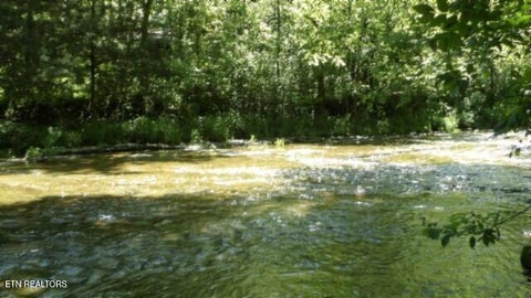 Tiny photo for 5155 Brimstone Creek Rd RD, Moss, TN 38575 (MLS # 1358395)
