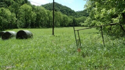 Tiny photo for 5155 Brimstone Creek Rd RD, Moss, TN 38575 (MLS # 1358395)