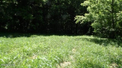 Tiny photo for 5155 Brimstone Creek Rd RD, Moss, TN 38575 (MLS # 1358395)