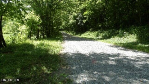 Tiny photo for 5155 Brimstone Creek Rd RD, Moss, TN 38575 (MLS # 1358395)