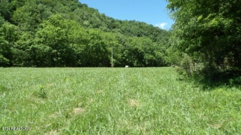 Tiny photo for 5155 Brimstone Creek Rd RD, Moss, TN 38575 (MLS # 1358395)