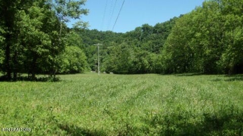 Tiny photo for 5155 Brimstone Creek Rd RD, Moss, TN 38575 (MLS # 1358395)