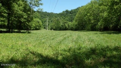 Tiny photo for 5155 Brimstone Creek Rd RD, Moss, TN 38575 (MLS # 1358395)
