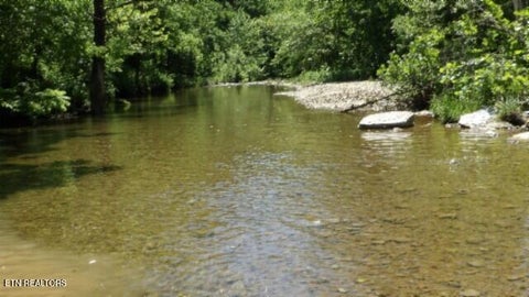 Tiny photo for 5155 Brimstone Creek Rd RD, Moss, TN 38575 (MLS # 1358395)