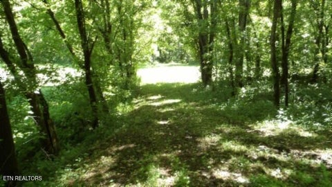 Tiny photo for 5155 Brimstone Creek Rd RD, Moss, TN 38575 (MLS # 1358395)