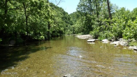 Tiny photo for 5155 Brimstone Creek Rd RD, Moss, TN 38575 (MLS # 1358395)