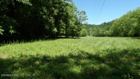 Tiny photo for 5155 Brimstone Creek Rd RD, Moss, TN 38575 (MLS # 1358395)