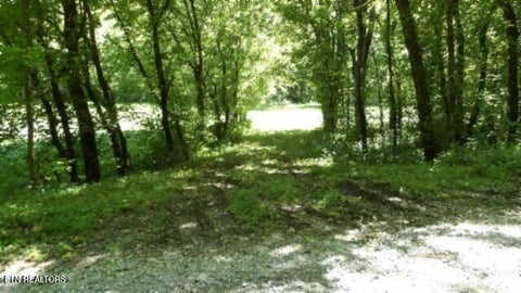 Tiny photo for 5155 Brimstone Creek Rd RD, Moss, TN 38575 (MLS # 1358395)