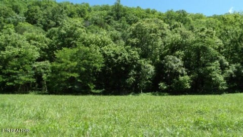 Tiny photo for 5155 Brimstone Creek Rd RD, Moss, TN 38575 (MLS # 1358395)