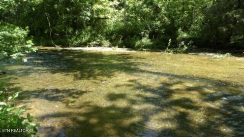 Tiny photo for 5155 Brimstone Creek Rd RD, Moss, TN 38575 (MLS # 1358395)