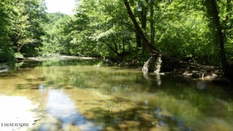 Tiny photo for 5155 Brimstone Creek Rd RD, Moss, TN 38575 (MLS # 1358395)
