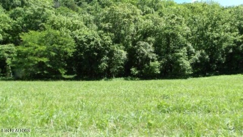Tiny photo for 5155 Brimstone Creek Rd RD, Moss, TN 38575 (MLS # 1358395)