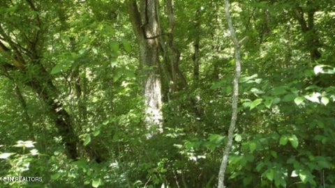 Tiny photo for 5155 Brimstone Creek Rd RD, Moss, TN 38575 (MLS # 1358395)