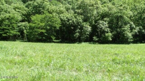 Tiny photo for 5155 Brimstone Creek Rd RD, Moss, TN 38575 (MLS # 1358395)