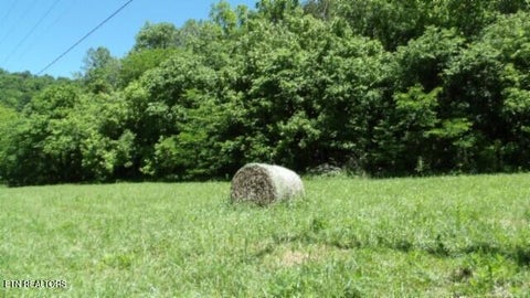 Tiny photo for 5155 Brimstone Creek Rd RD, Moss, TN 38575 (MLS # 1358395)