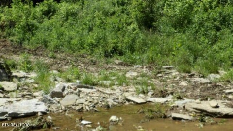 Tiny photo for 5155 Brimstone Creek Rd RD, Moss, TN 38575 (MLS # 1358395)