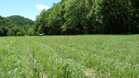 Tiny photo for 5155 Brimstone Creek Rd RD, Moss, TN 38575 (MLS # 1358395)