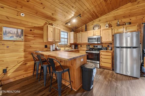 Tiny photo for 1930 Regans Ridge Way, Sevierville, TN 37876 (MLS # 1335950)