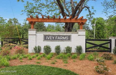 Tiny photo for 447 Ivey Farms Road (Lot 64), Farragut, TN 37934 (MLS # 1328480)