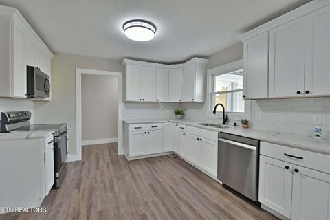 Tiny photo for 629609 Nance Ferry Rd, Blaine, TN 37709 (MLS # 1317201)