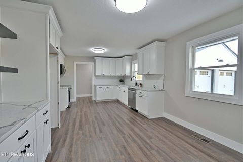 Tiny photo for 629609 Nance Ferry Rd, Blaine, TN 37709 (MLS # 1317201)