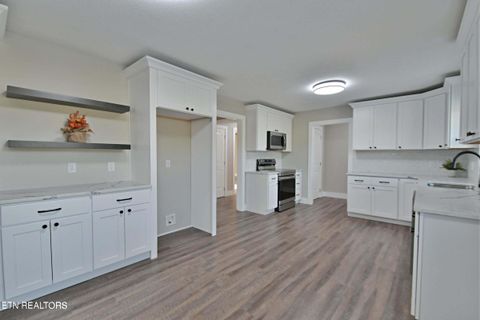 Tiny photo for 629609 Nance Ferry Rd, Blaine, TN 37709 (MLS # 1317201)