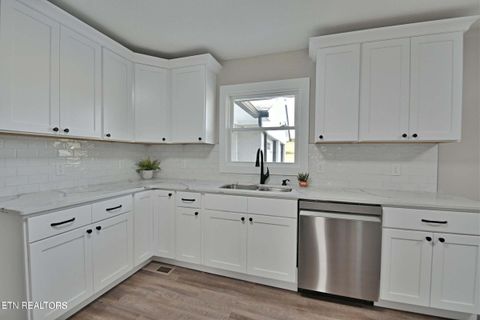 Tiny photo for 629609 Nance Ferry Rd, Blaine, TN 37709 (MLS # 1317201)