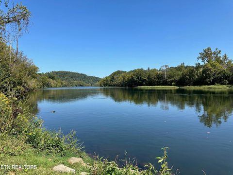 Tiny photo for 629609 Nance Ferry Rd, Blaine, TN 37709 (MLS # 1317201)