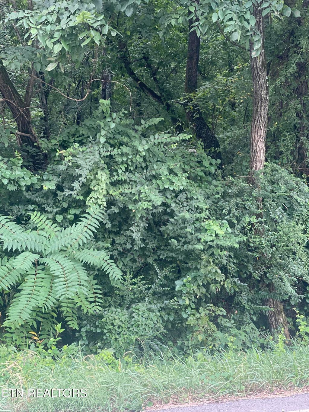 Photo of 15 Sands Rd, Sweetwater, TN 37874 (MLS # 1310255)