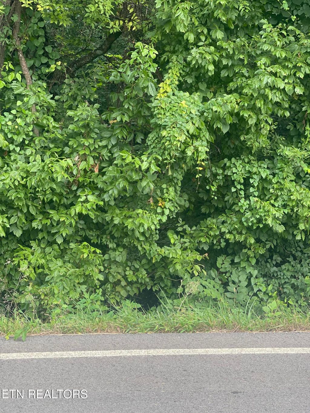 Photo of 15 Sands Rd, Sweetwater, TN 37874 (MLS # 1310255)