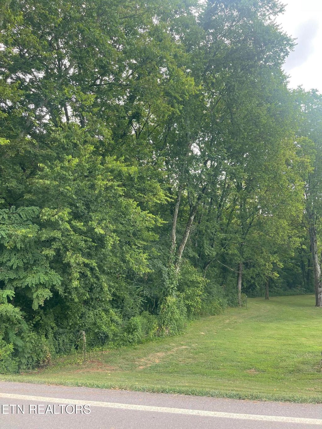 Photo of 15 Sands Rd, Sweetwater, TN 37874 (MLS # 1310255)