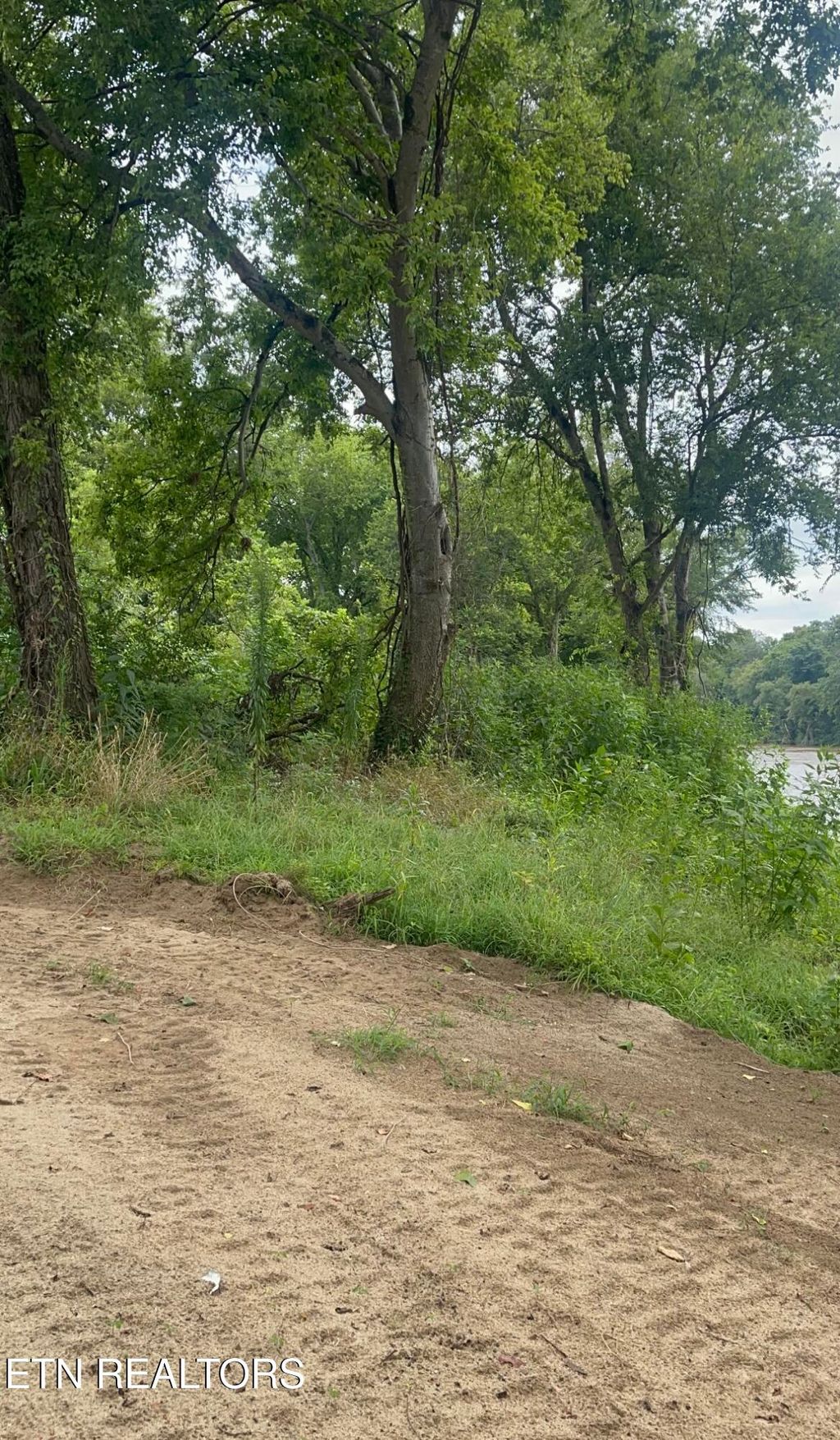 Photo of 121 River Chase Way, Newport, TN 37821 (MLS # 1313141)