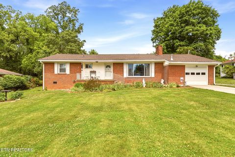 Photo of 311 Woodhaven Lane, Clinton, TN 37716 (MLS # 1340014)