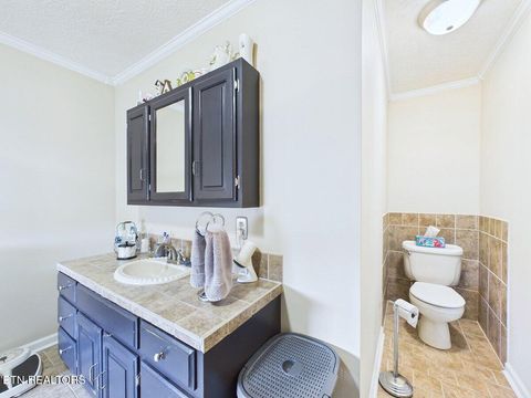 Tiny photo for 128 County Road 101, Riceville, TN 37370 (MLS # 1341354)