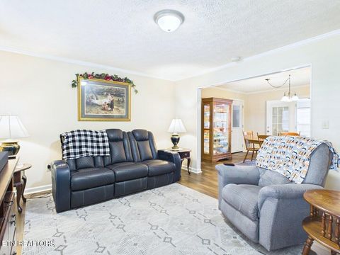 Tiny photo for 128 County Road 101, Riceville, TN 37370 (MLS # 1341354)