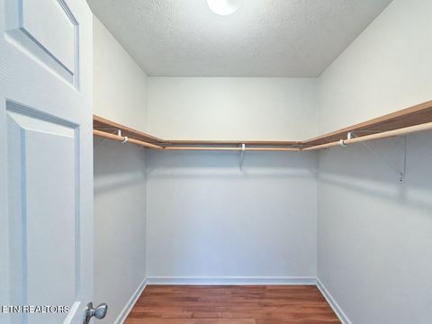 Tiny photo for 128 County Road 101, Riceville, TN 37370 (MLS # 1341354)