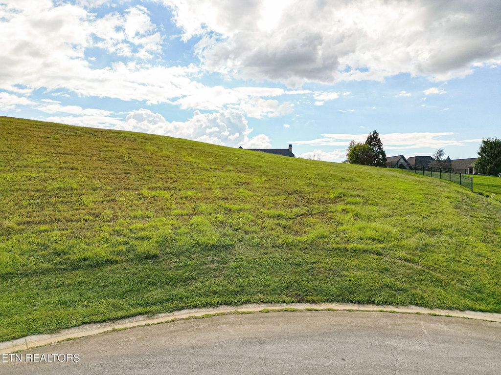 Photo of 625 Cypress Pointe Drive, Lenoir City, TN 37772 (MLS # 1317180)