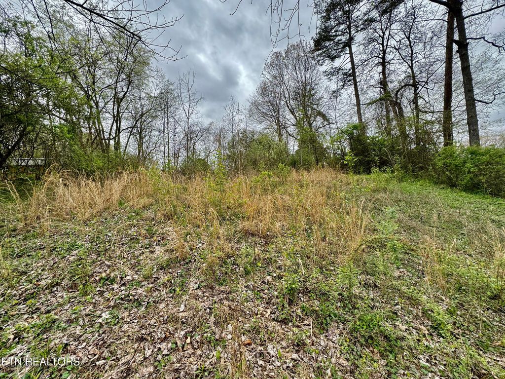 Photo of 136 Sugar Rd, Oliver Springs, TN 37840 (MLS # 1260411)