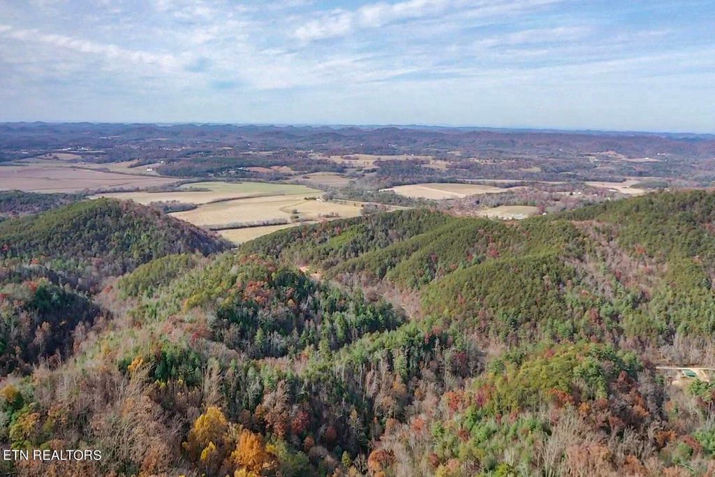 Photo of 0 Smokey Run Road, Tellico Plains, TN 37385 (MLS # 1246245)