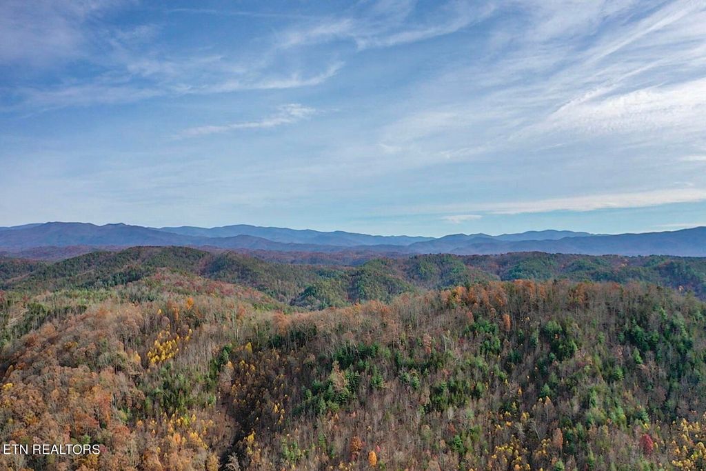 Photo of 0 Smokey Run Road, Tellico Plains, TN 37385 (MLS # 1246245)