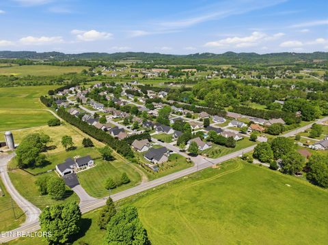 Tiny photo for 108 Wind Chase Way, Madisonville, TN 37354 (MLS # 1338109)