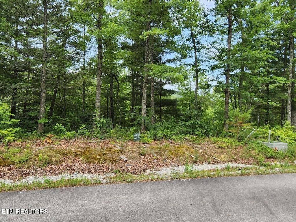 Photo of 441 Hawken Drive, Walland, TN 37886 (MLS # 1279385)