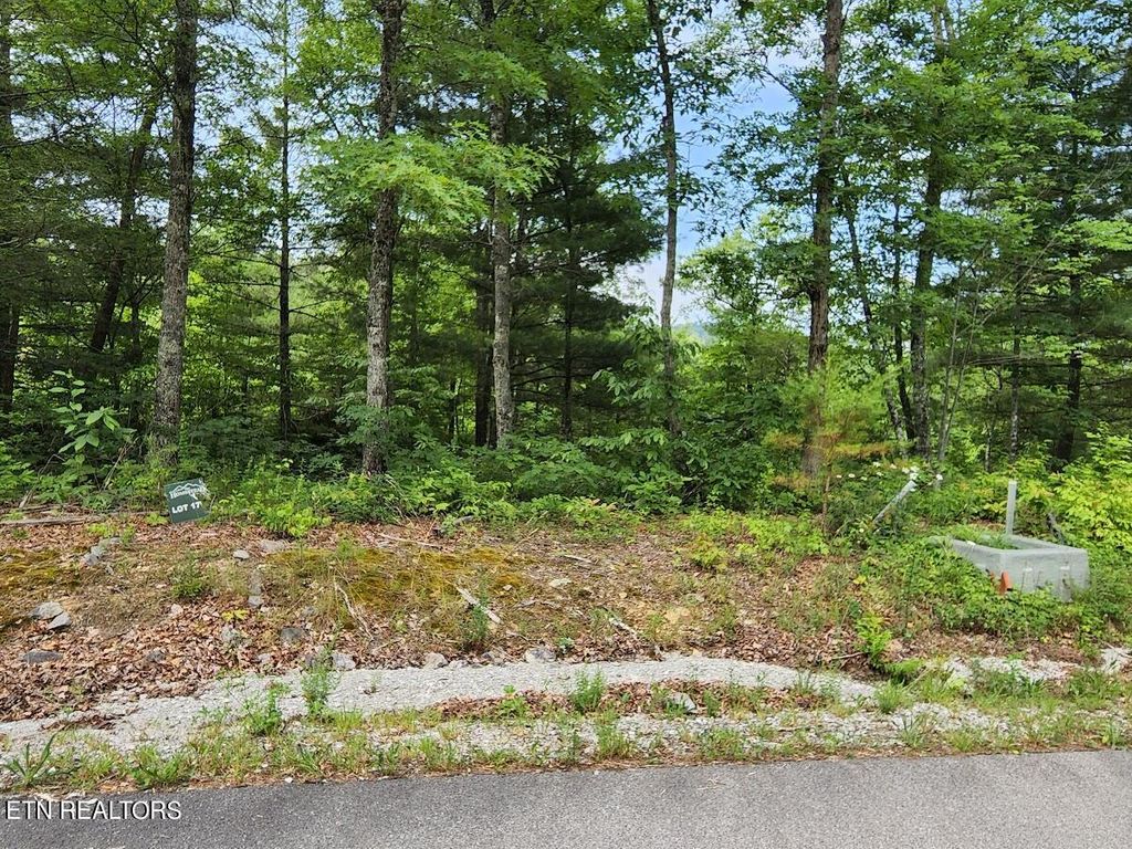 Photo of 441 Hawken Drive, Walland, TN 37886 (MLS # 1279385)