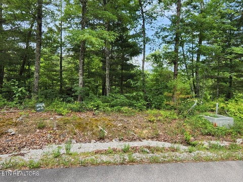 Featured picture for the property 1279385