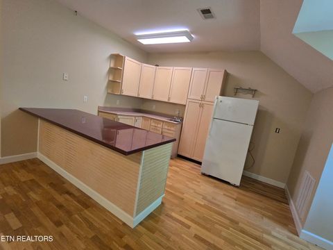 Tiny photo for 903 Frontier Circle, Friendsville, TN 37737 (MLS # 1339438)